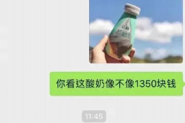 桐城为什么选择专业追讨公司来处理您的债务纠纷？